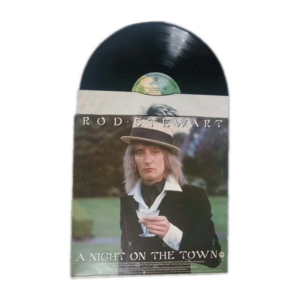 Rod Stewart A Night On The Town 1976 LP Vinyl Records Album Warner Bros. BS 2938